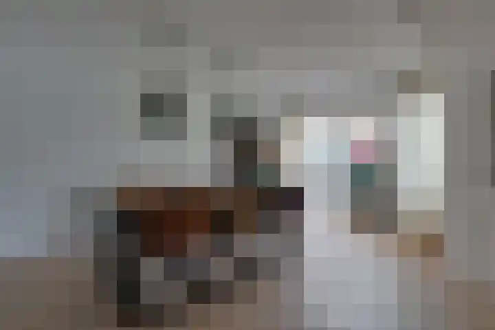 Botterkamp 20 Beilen thumbnail 10