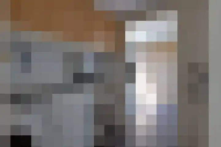 Botterkamp 20 Beilen thumbnail 11