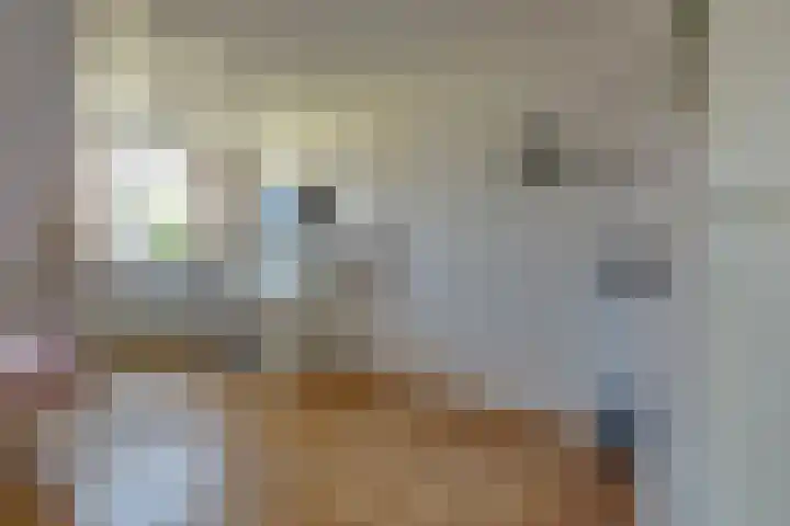 Botterkamp 20 Beilen thumbnail 14