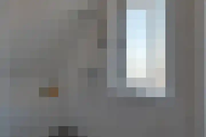 Botterkamp 20 Beilen thumbnail 18