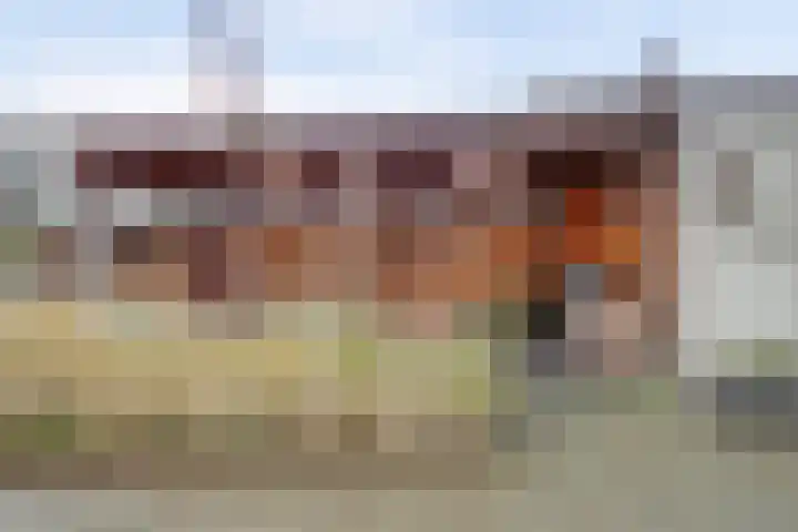 Botterkamp 20 Beilen thumbnail 20