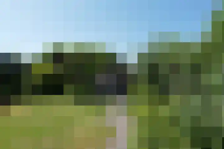 Botterkamp 20 Beilen thumbnail 22