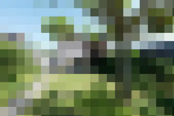 Botterkamp 20 Beilen thumbnail 23