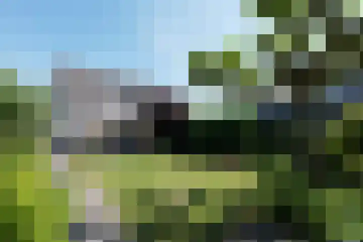 Botterkamp 20 Beilen thumbnail 24