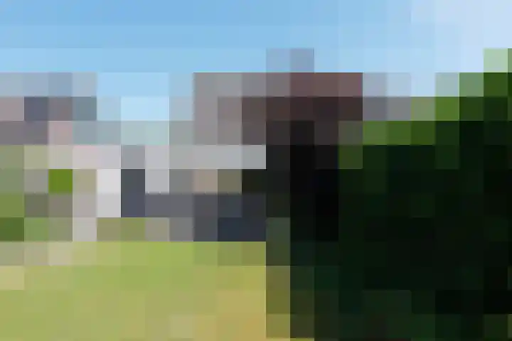 Botterkamp 20 Beilen thumbnail 25