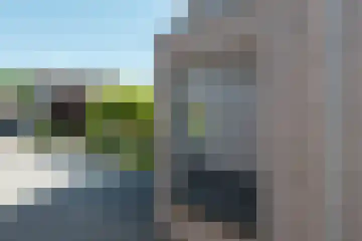 Botterkamp 20 Beilen thumbnail 27