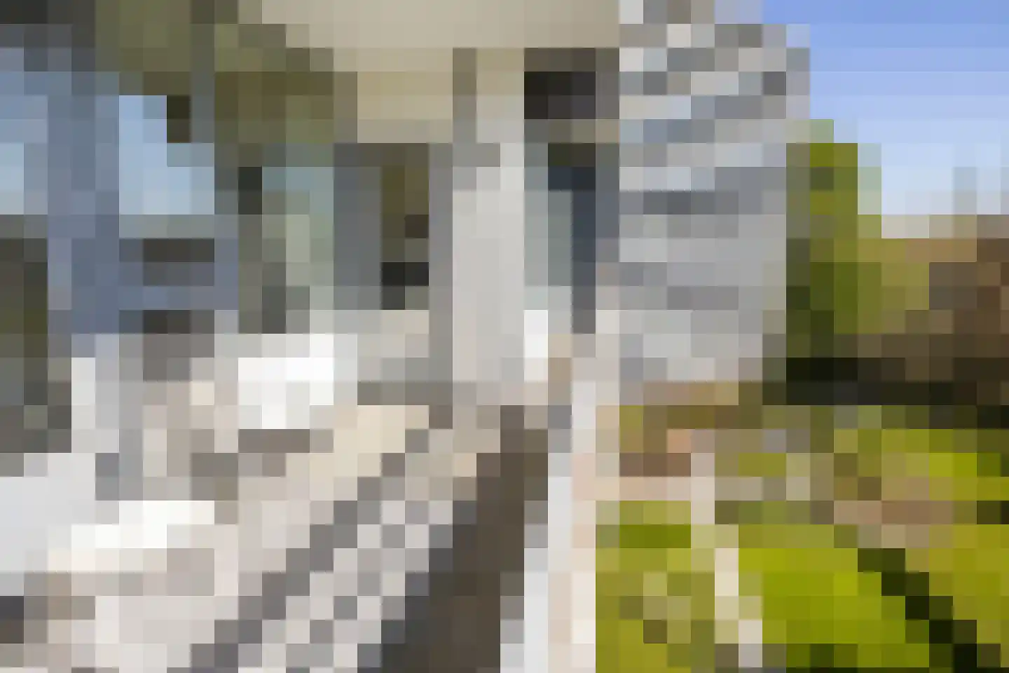 Botterkamp 20 Beilen thumbnail 34