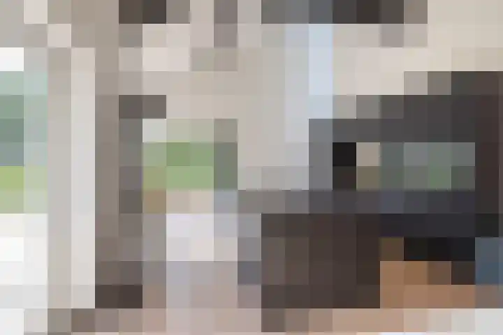 Botterkoel 31 Ulft thumbnail 17