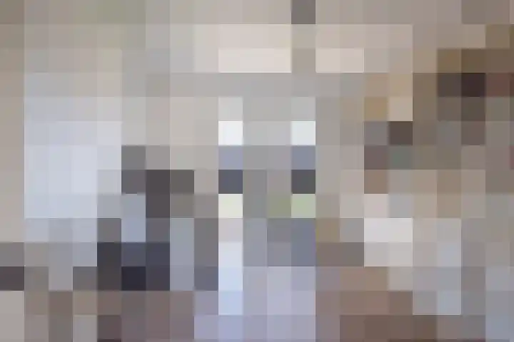 Botterkoel 31 Ulft thumbnail 23
