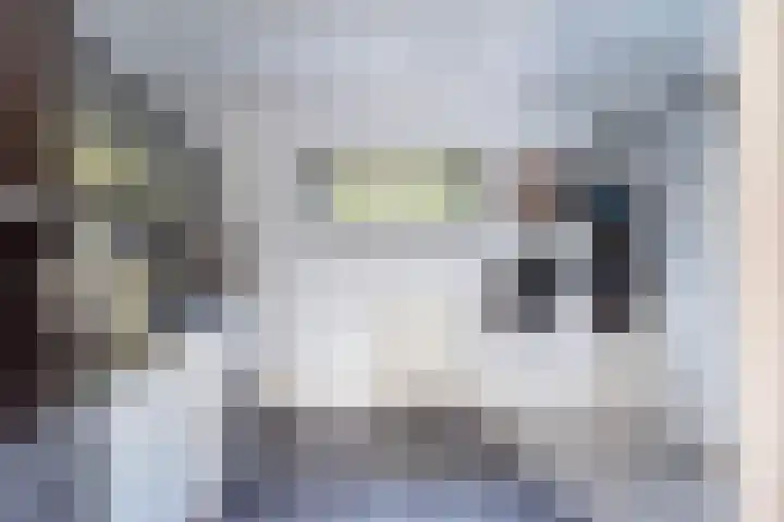 Botterkoel 31 Ulft thumbnail 25