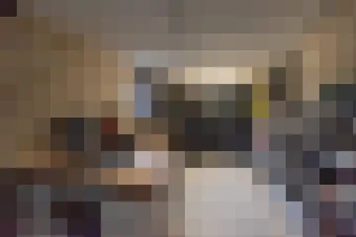 Botterkoel 31 Ulft thumbnail 27