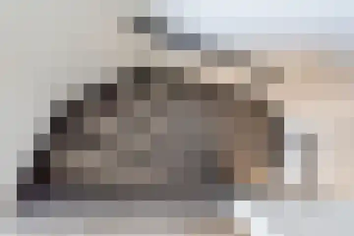 Botterkoel 31 Ulft thumbnail 28