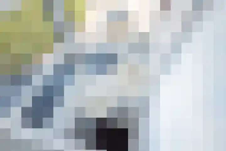 Botterkoel 31 Ulft thumbnail 30
