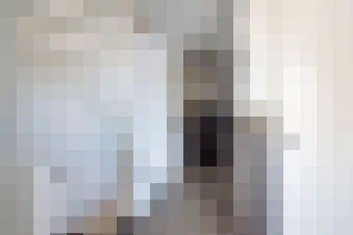 Botterkoel 31 Ulft thumbnail 31