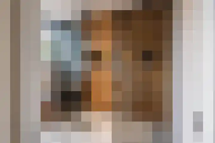 Botterkoel 31 Ulft thumbnail 35