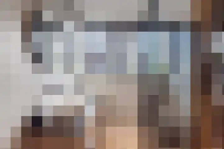 Botterkoel 31 Ulft thumbnail 36