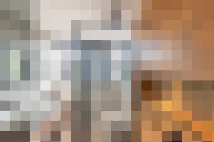 Botterkoel 31 Ulft thumbnail 40