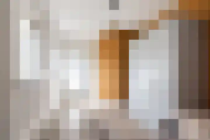 Botterkoel 31 Ulft thumbnail 42