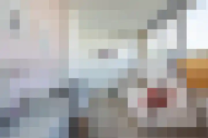 Botterkoel 31 Ulft thumbnail 44