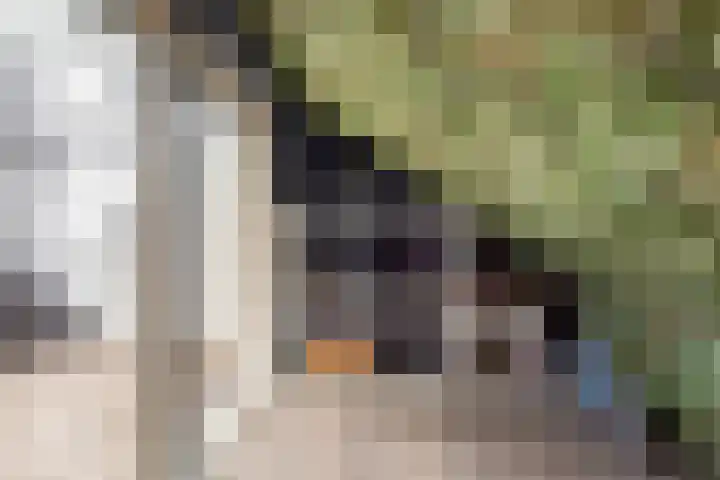 Botterkoel 31 Ulft thumbnail 47