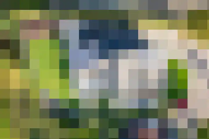 Botterkoel 31 Ulft thumbnail 55