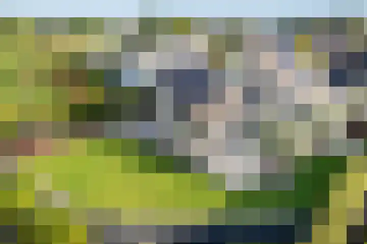 Botterkoel 31 Ulft thumbnail 56