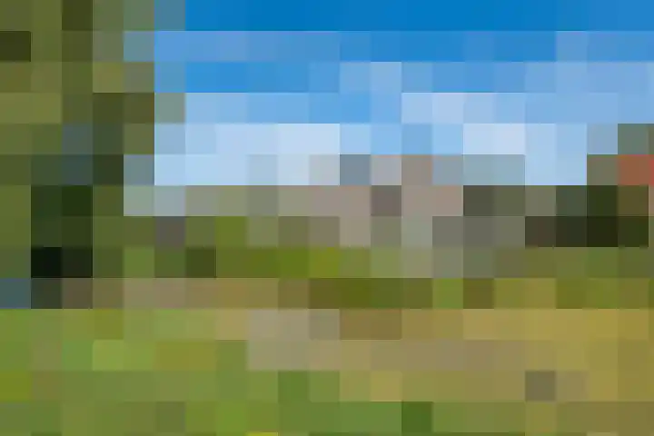 Botterkoel 31 Ulft thumbnail 57