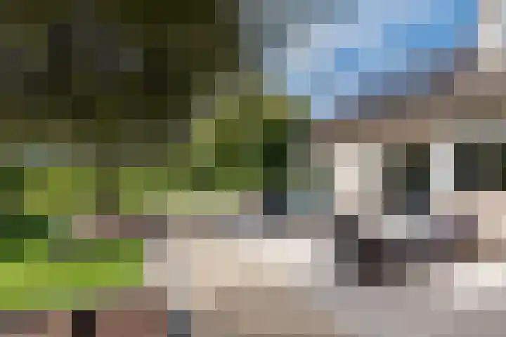 Botterkoel 31 Ulft thumbnail 60