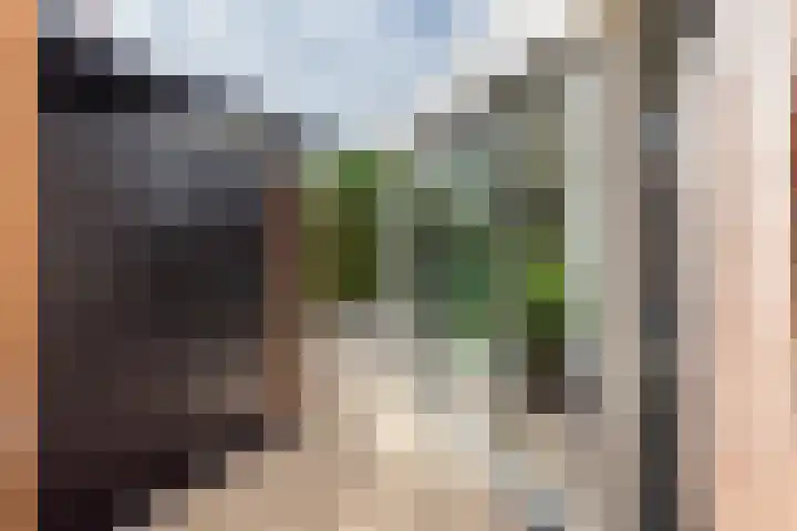 Botterkoel 31 Ulft thumbnail 64