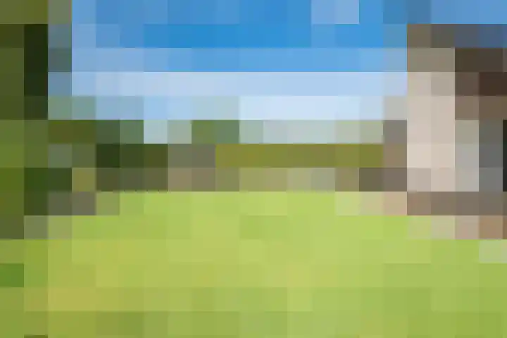 Botterkoel 31 Ulft thumbnail 66