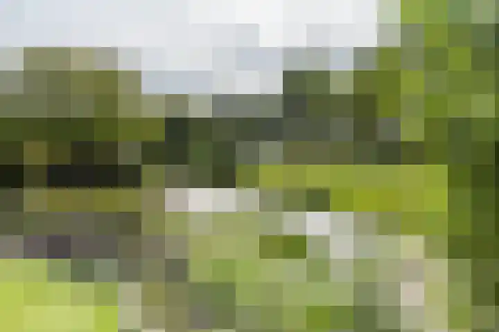 Botterkoel 31 Ulft thumbnail 67