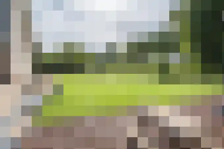 Botterkoel 31 Ulft thumbnail 68
