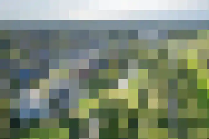 Botterkoel 31 Ulft thumbnail 70