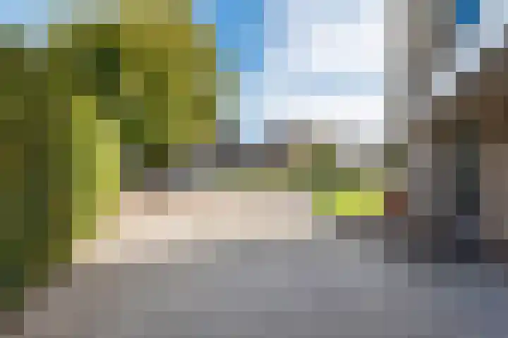 Botterkoel 31 Ulft thumbnail 72