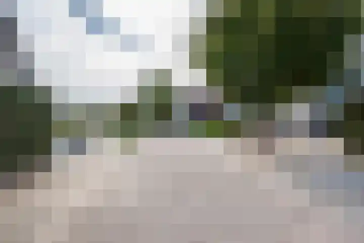 Botterkoel 31 Ulft thumbnail 73