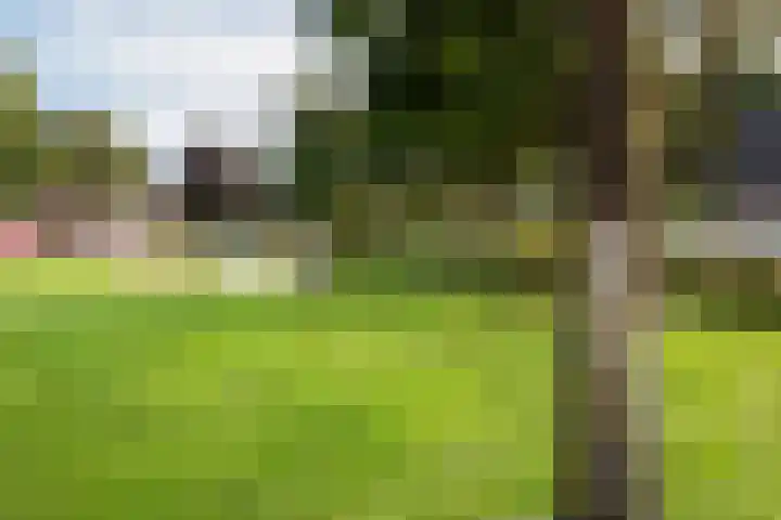 Botterkoel 31 Ulft thumbnail 74