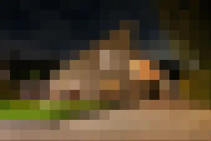 Botterkoel 31 Ulft thumbnail 75