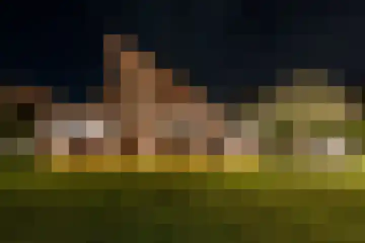 Botterkoel 31 Ulft thumbnail 76