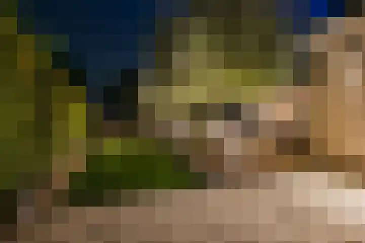 Botterkoel 31 Ulft thumbnail 77