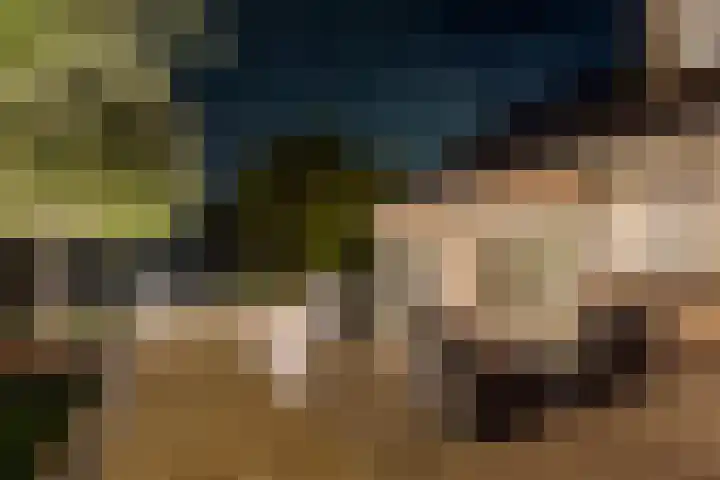 Botterkoel 31 Ulft thumbnail 78