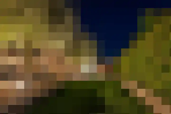 Botterkoel 31 Ulft thumbnail 79