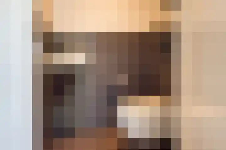 Botterkoel 31 Ulft thumbnail 8