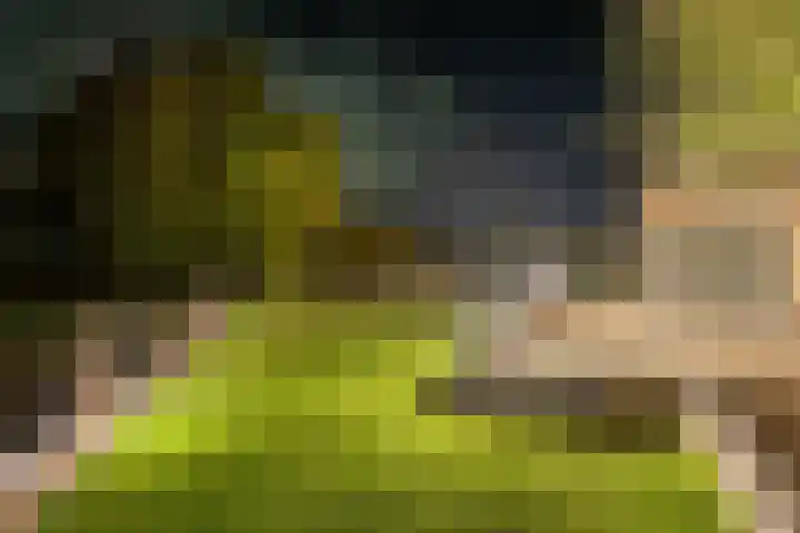 Botterkoel 31 Ulft thumbnail 80