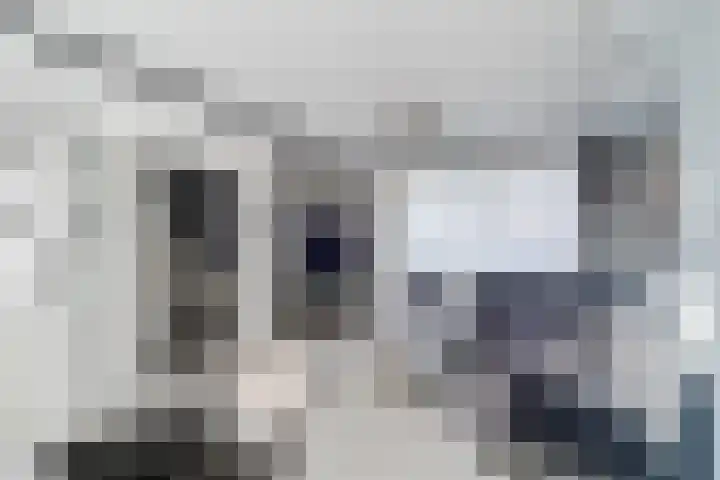 Botterlaan 14 Zaandam thumbnail 11