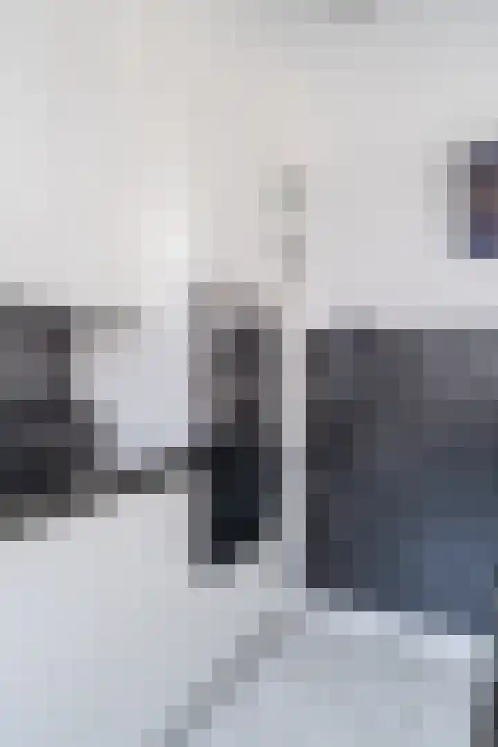 Botterlaan 14 Zaandam thumbnail 17