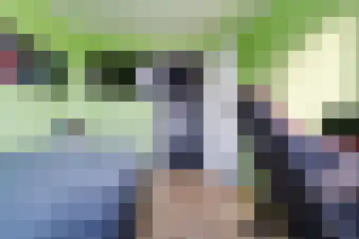 Botterlaan 14 Zaandam thumbnail 26