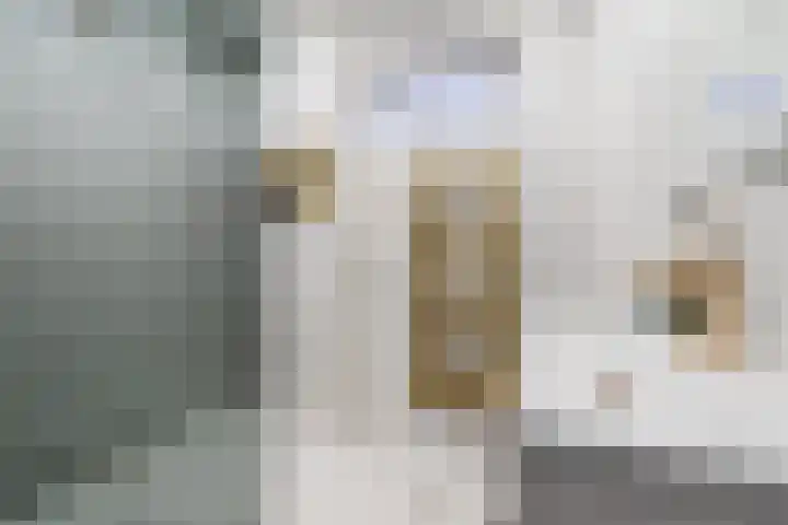Botterlaan 14 Zaandam thumbnail 30