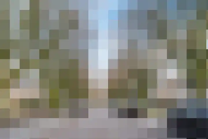 Botterlaan 14 Zaandam thumbnail 44