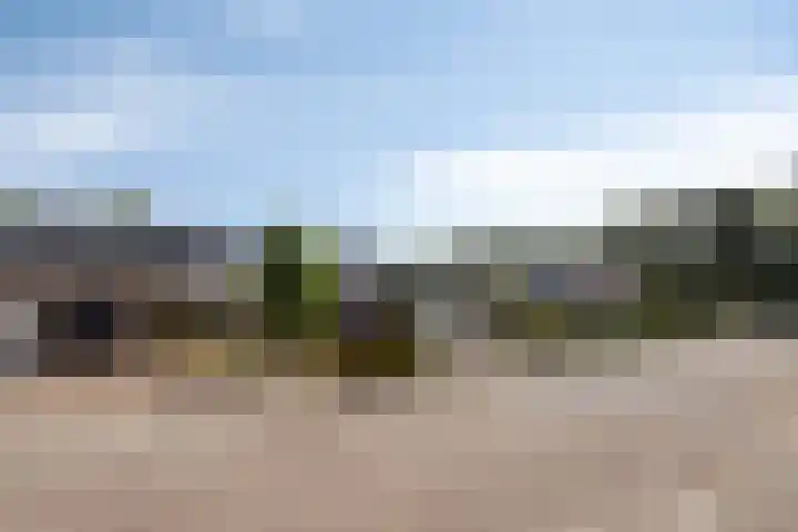 Botterlaan 33 Zaandam thumbnail 36