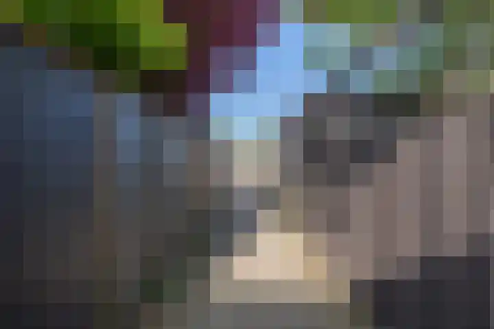 Botterlaan 33 Zaandam thumbnail 39